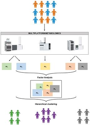 Identifying subgroups of childhood obesity by using multiplatform metabotyping